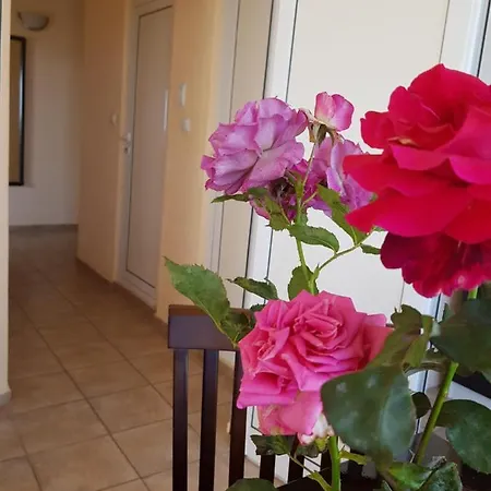 Gæstehus Sunny Island 2*