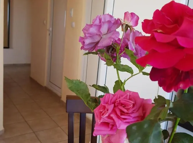 Maison d'hôtes Sunny Island 2*